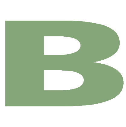 Biastore store logo