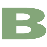 Biastore logo