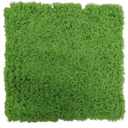 Mattonella di muschio sintetico 50x50 cm verde.
