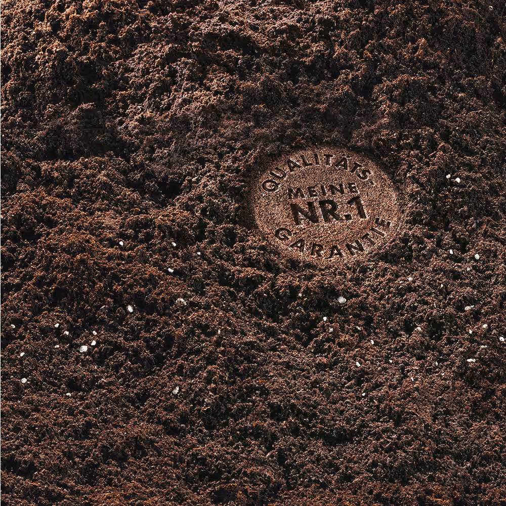 Terriccio Compo per piante verdi