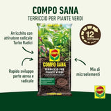 Terriccio Compo per piante verdi