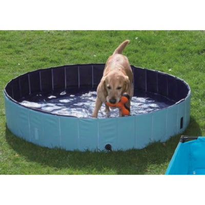 Piscina pieghevole per cani piccola, con fondo antiscivolo e bordo rinforzato