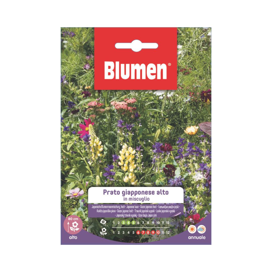 Confezione Blumen Prato Giapponese Alto in miscuglio, miscela annuale di fiori colorati per creare prati fioriti ornamentali alti fino a circa 80 cm