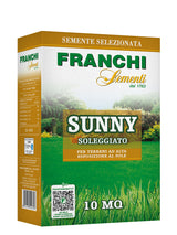 Confezione prato sunny Franchi Sementi