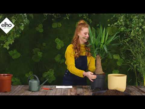 Elho- Inserto auto-irrigante per vasi
