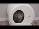 video esplicativo della lettiera per gatti smart Trxie