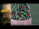 Musical Tree (cod. 54580) - Albero musicale Lemax
