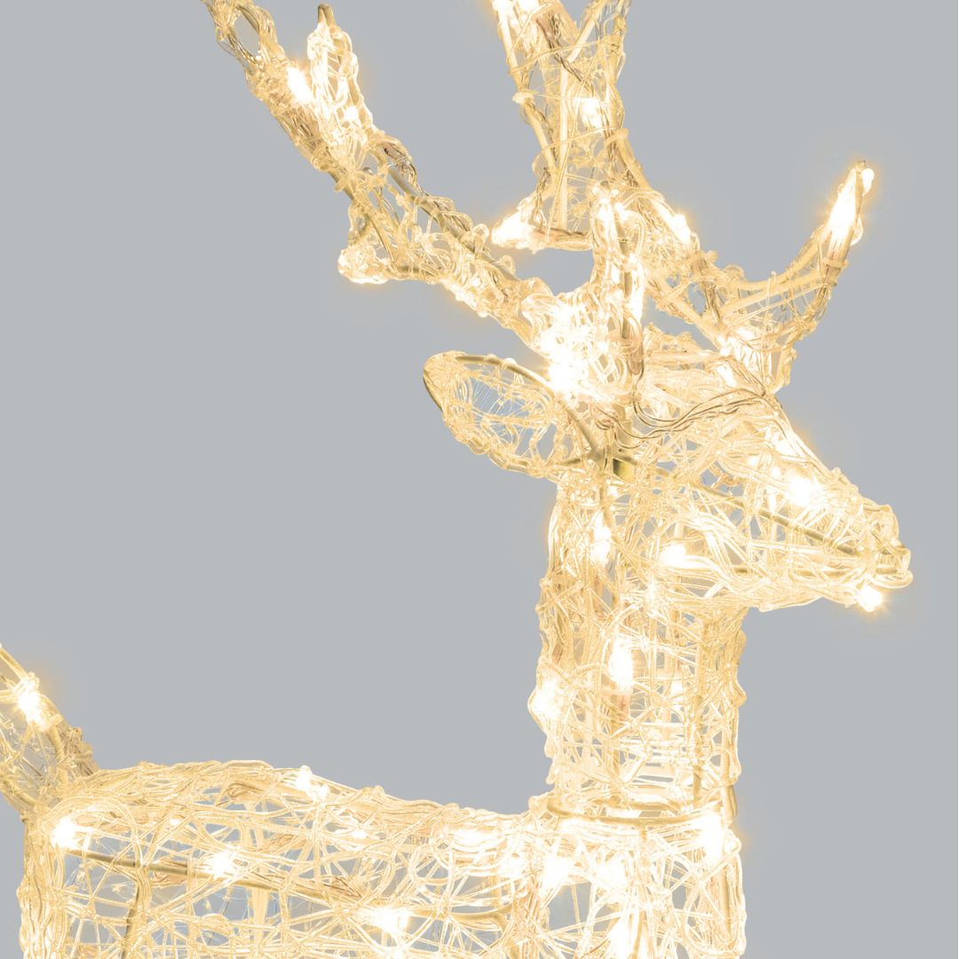 Primo piano della renna luminosa in acrilico con luci LED bianco caldo, altezza 65 cm.