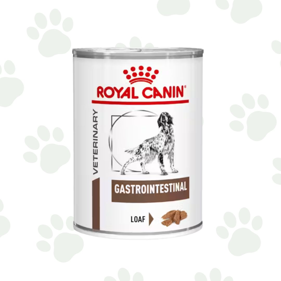 Lattina di cibo umido per cani Royal Canin Gastrointestinal 400g.