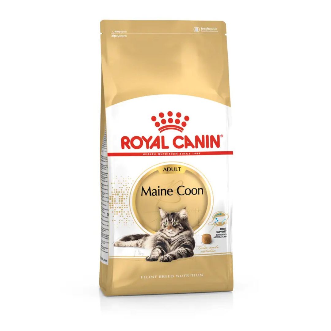 Confezione Royal Canin Adult Maine Coon con immagine di gatto Maine Coon sul packaging dorato e bianco