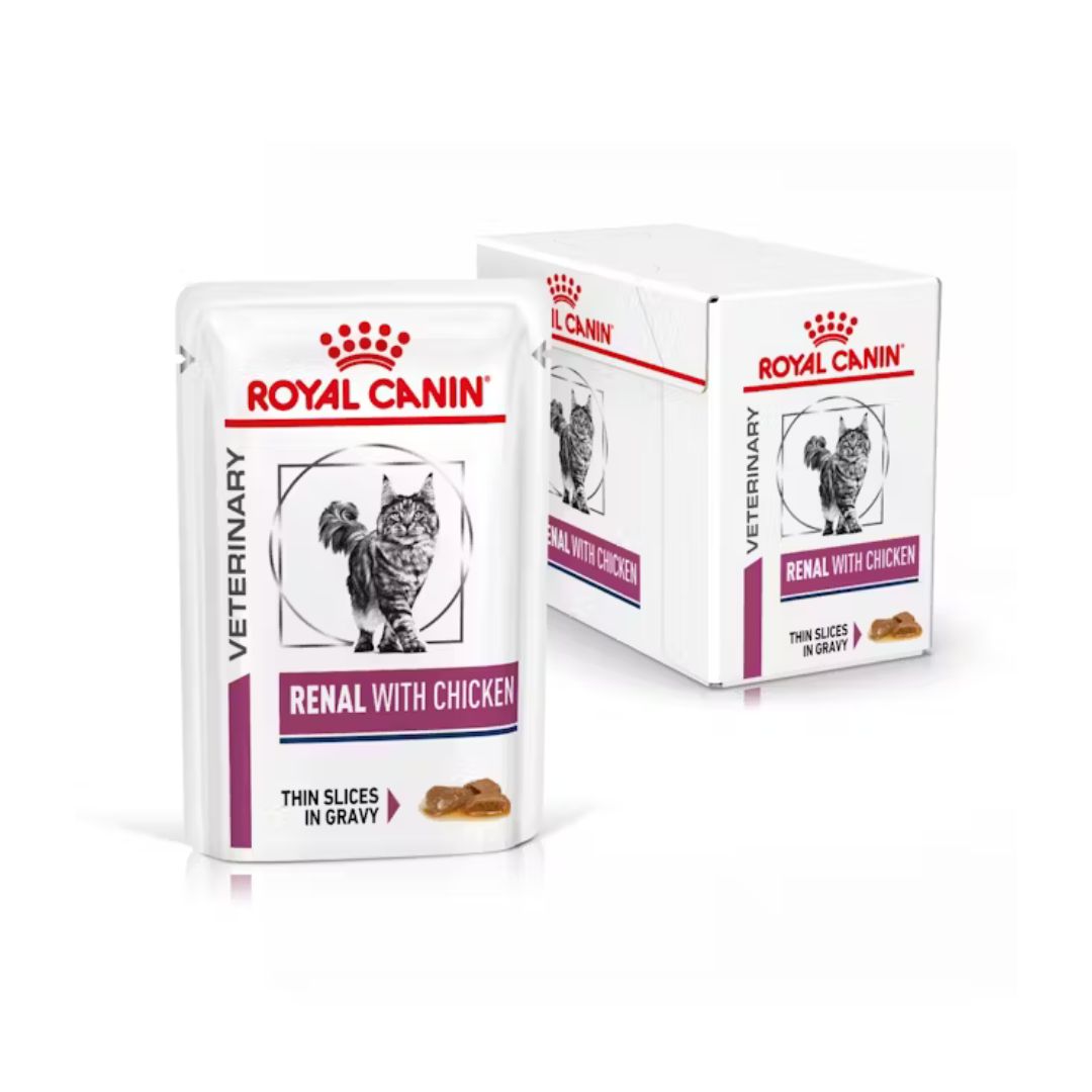 Multipack Royal Canin Veterinary Renal with Chicken per gatti, bustina e confezione da 12 in salsa