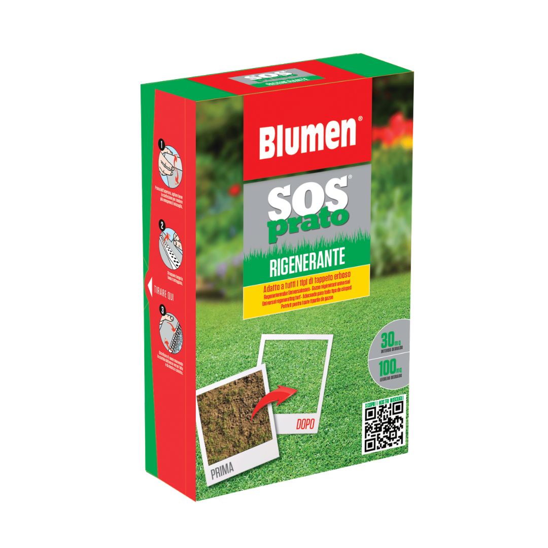 Confezione Blumen SOS Prato Rigenerante, miscuglio per rigenerare e rinfoltire le zone danneggiate del tappeto erboso, con azione rapida e copertura fino a 100 m²