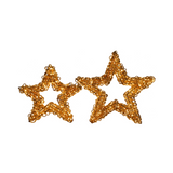 Stelle natalizie riccio oro 50 e 58 cm con micro LED a luce calda