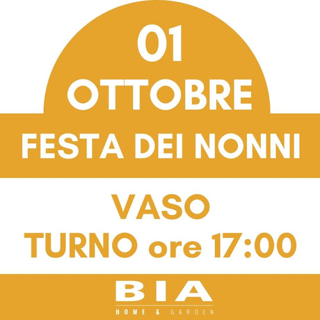 Festa dei nonni - 1 Ottobre 2025 - Laboratorio bambini