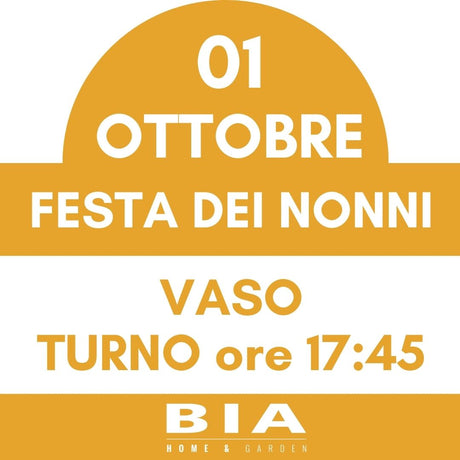 Festa dei nonni - 1 Ottobre 2025 - Laboratorio bambini