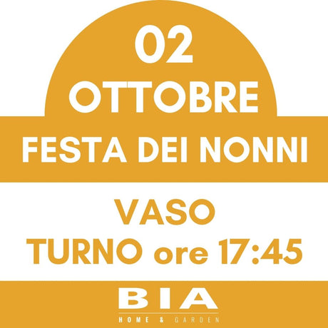 Festa dei nonni - 2 Ottobre 2025 - Laboratorio bambini