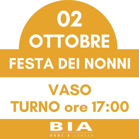 Festa dei nonni - 2 Ottobre 2025 - Laboratorio bambini