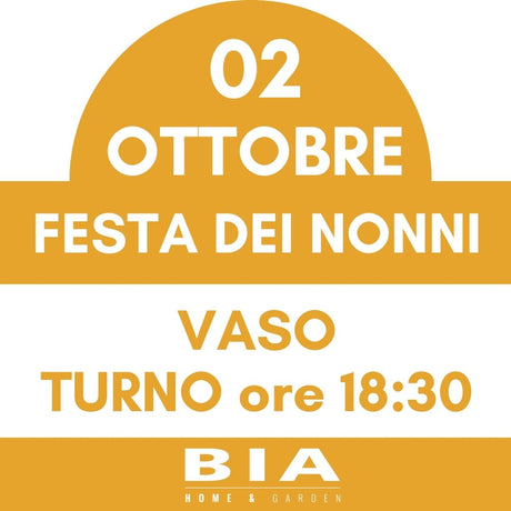 Festa dei nonni - 2 Ottobre 2025 - Laboratorio bambini
