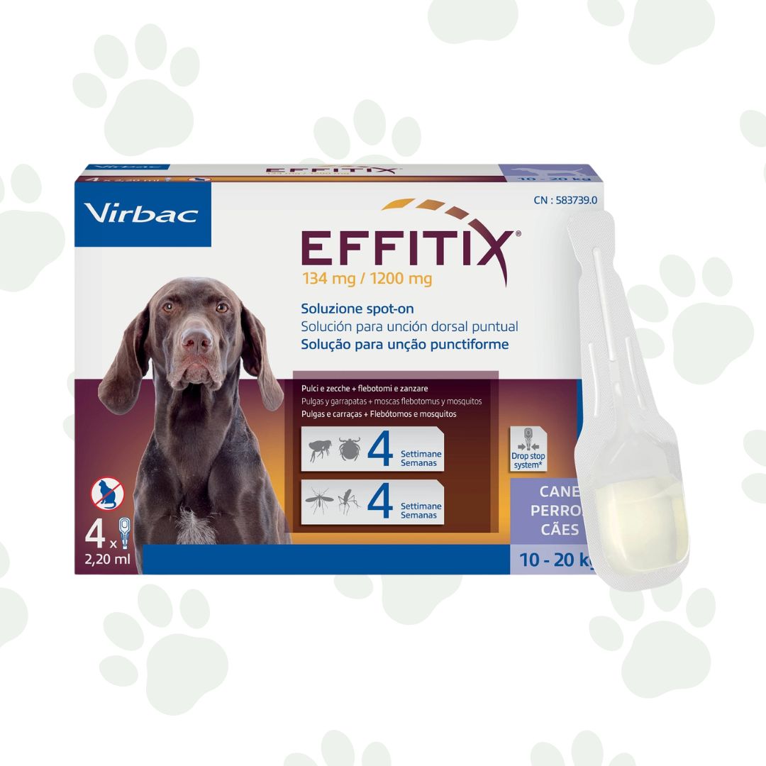 Confezione da quattro pipette di antiparassitari per cani 10-20 kg Effitix.