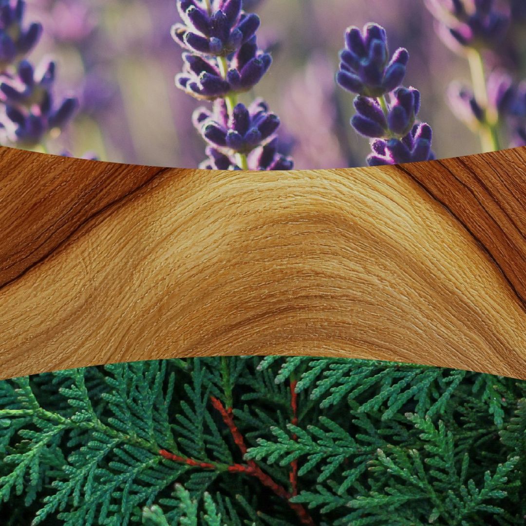 Collage con lavanda, legno di cedro e rami verdi che richiamano la profumazione della candela.