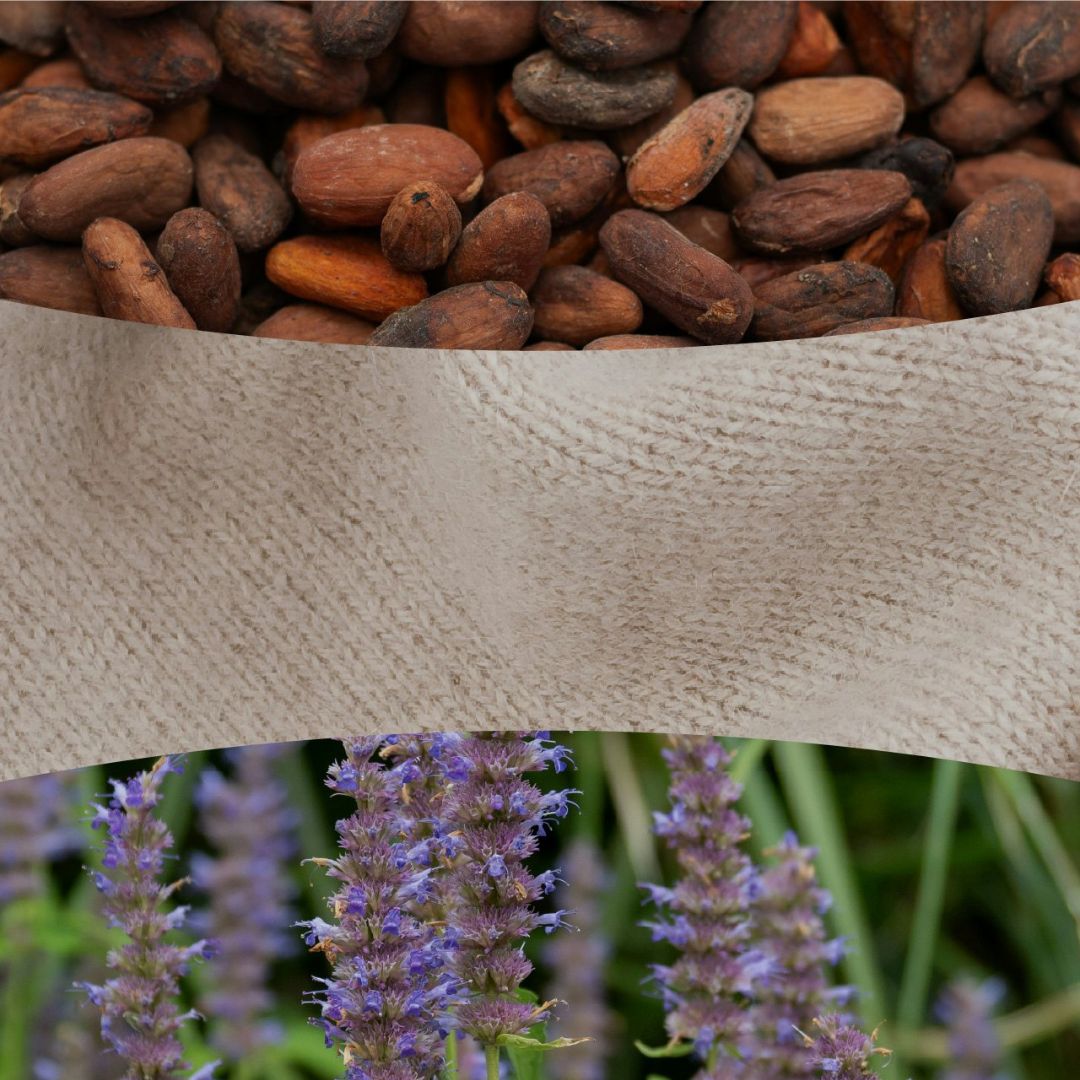 Collage con fave di cacao, tessuto morbido e fiori di patchouli che richiamano la profumazione della candela.