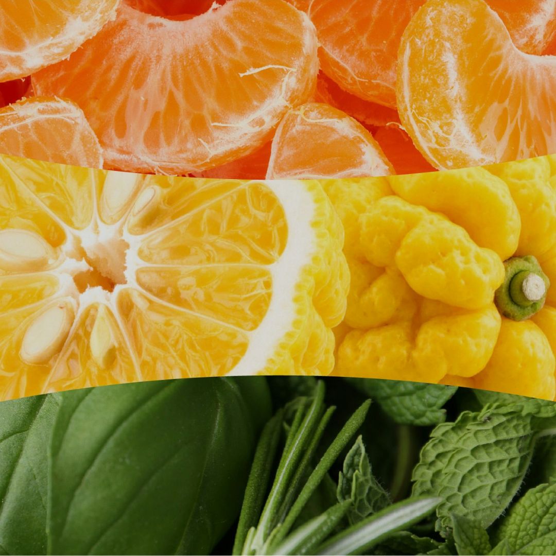 Collage con spicchi di mandarino, limone cedrato e foglie verdi aromatiche che richiamano la profumazione della candela.
