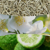 Collage con tè bianco, fiori di gelsomino e bergamotto che richiama la profumazione della candela.