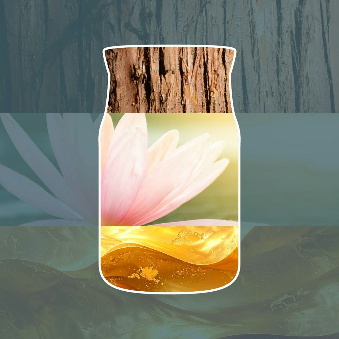 Collage con corteccia di cedro, petali rosa chiaro di ninfea e ambra dorata che richiamano la profumazione della candela.