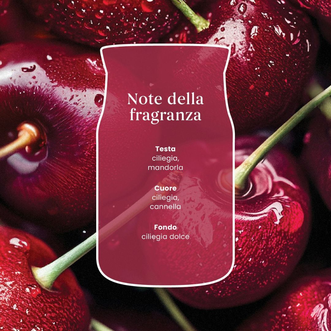 Scheda note della fragranza Black Cherry con ciliegie rosse sullo sfondo.
