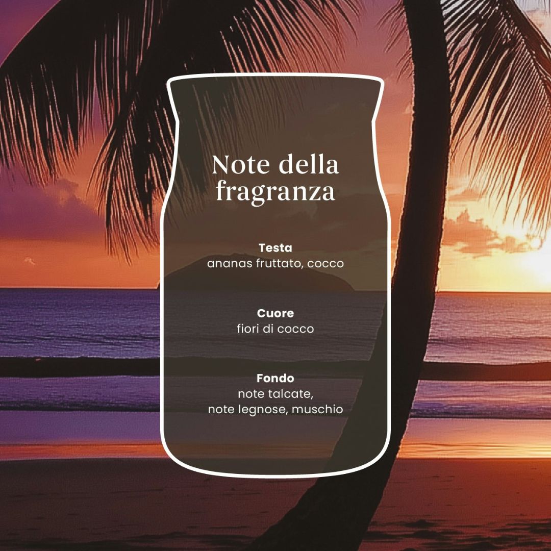 Scheda note della fragranza Black Coconut con palma al tramonto su sfondo viola e arancio.
