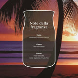 Scheda note della fragranza Black Coconut con palma al tramonto su sfondo viola e arancio.