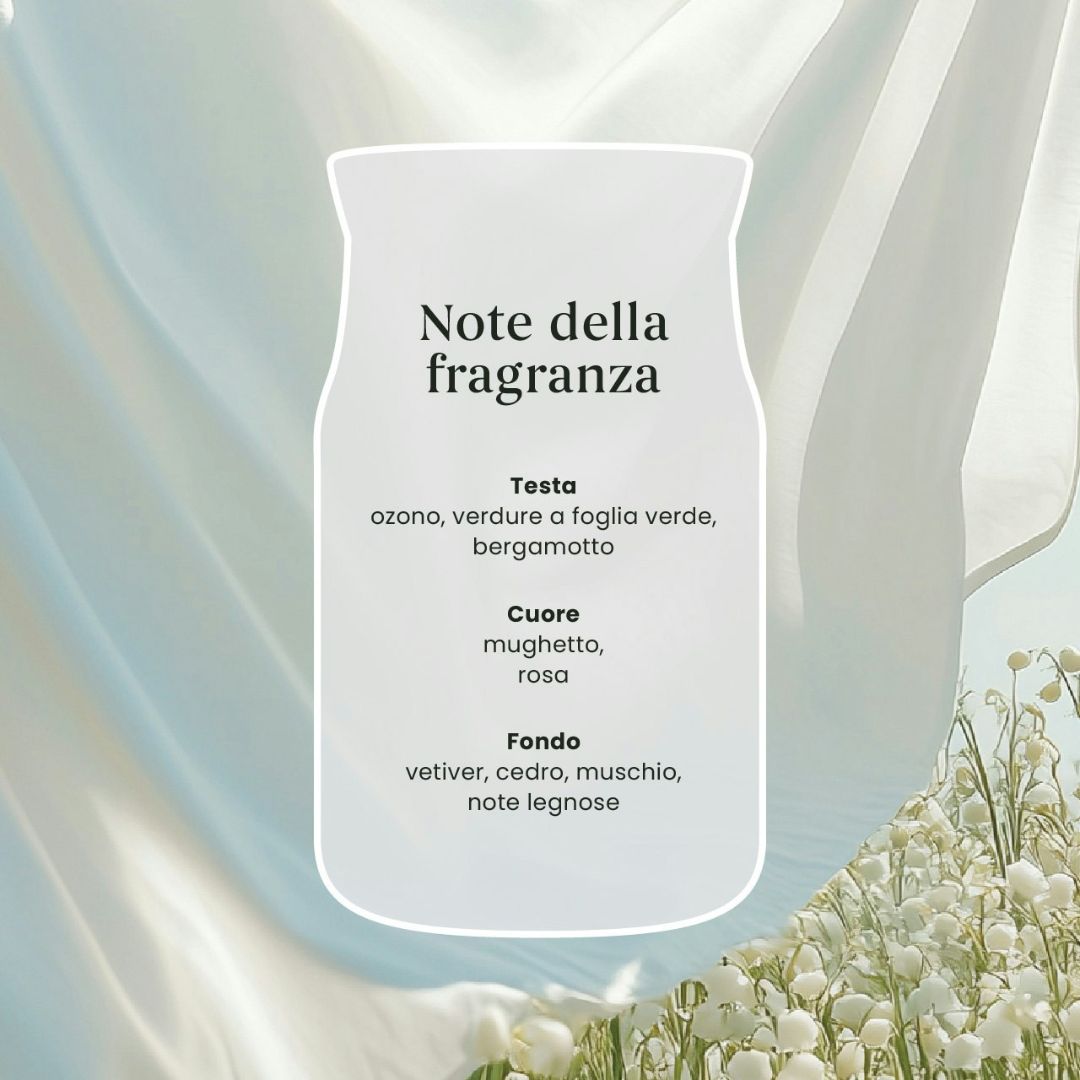 Scheda note della fragranza Clean Cotton.