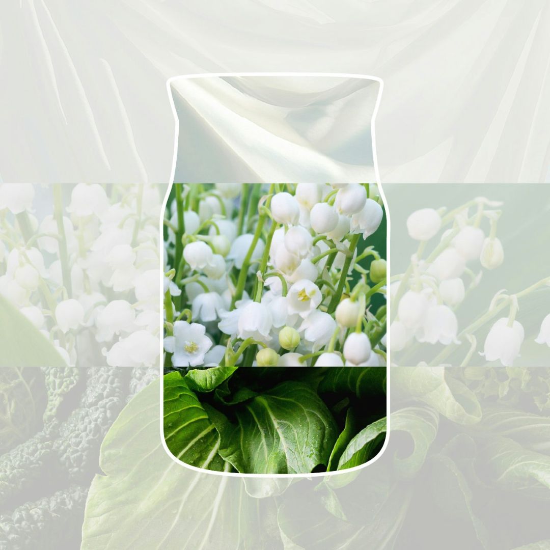 Collage con mughetto, foglie verdi e tessuto bianco che richiamano la fragranza della candela.
