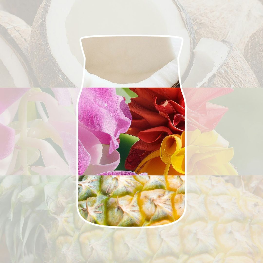 Collage con cocco, fiori tropicali e ananas che richiamano la profumazione della candela.