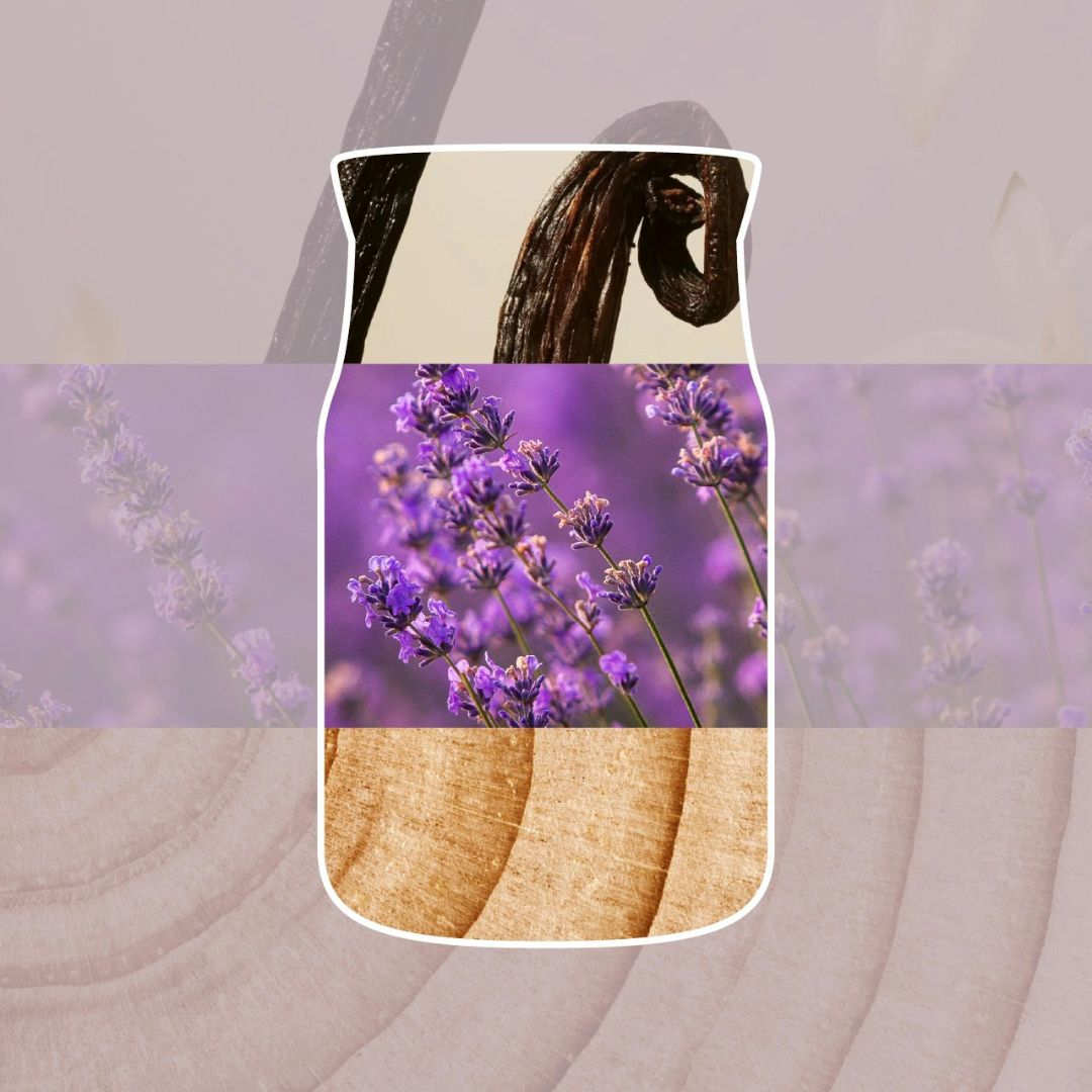 Collage con baccelli di vaniglia, lavanda e legno chiaro che richiama la profumazione della candela.