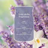 Scheda note della fragranza Lavender Vanilla con lavanda, orchidea vaniglia, gelsomino e muschio