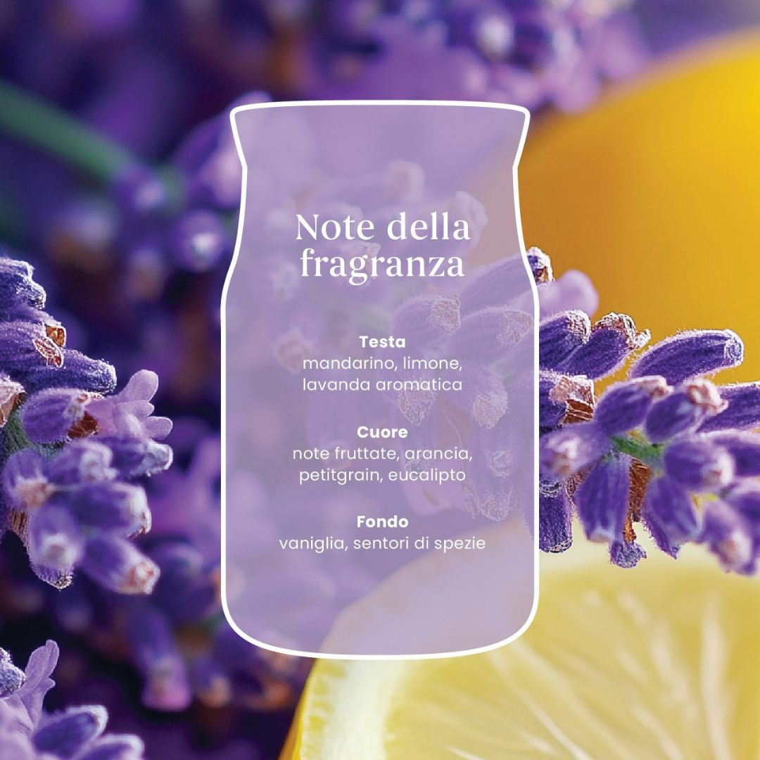 Scheda note della fragranza Lemon Lavender con lavanda, limone e agrumi.