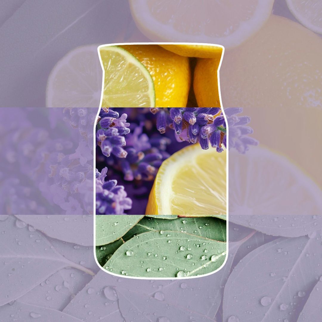 Collage con limoni, lavanda e foglie verdi con gocce d’acqua che richiama la profumazione della candela.