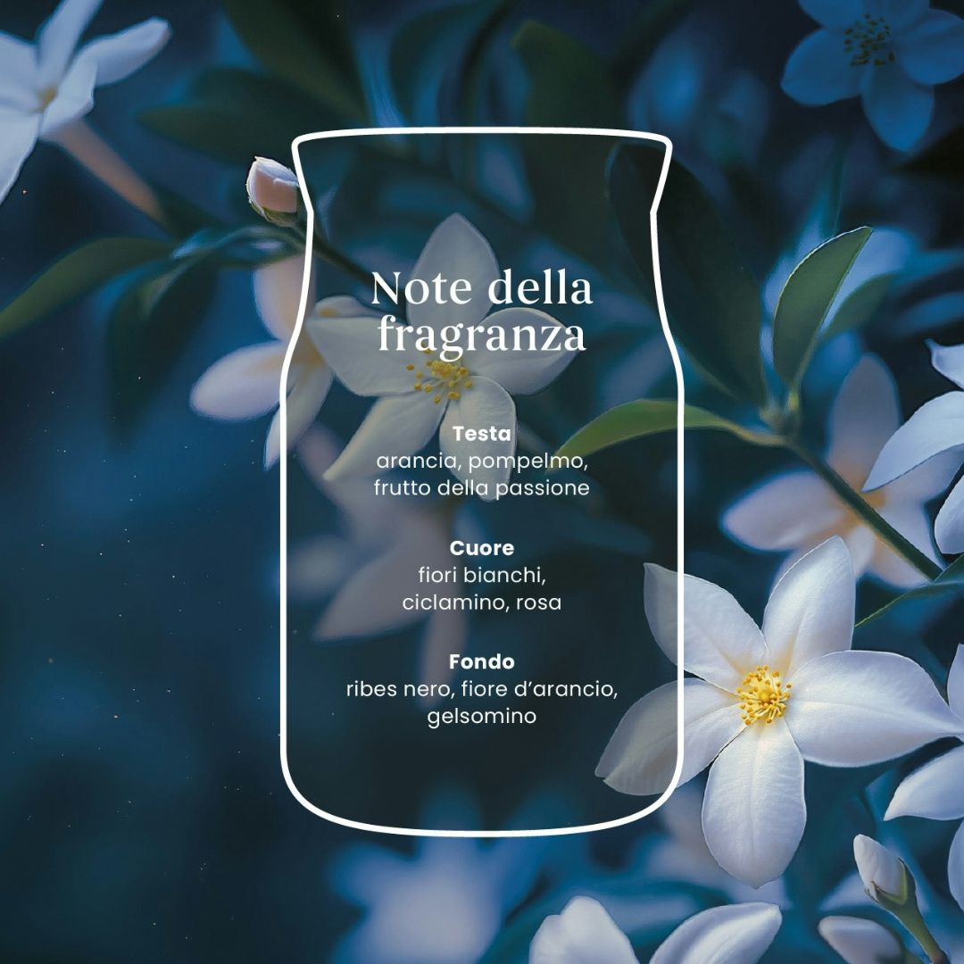 Scheda note della fragranza Midnight Jasmine con fiori bianchi su sfondo blu notte.