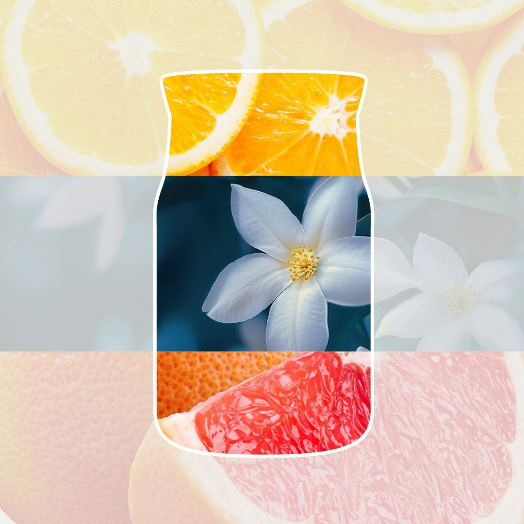 Collage con fette di agrumi, fiore bianco di gelsomino e pompelmo rosa che richiama la profumazione della candela.
