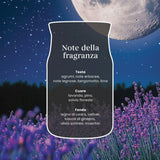 Scheda note della fragranza Midsummer’s Night.