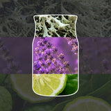Collage con lichene chiaro, lavanda viola e fettine di lime verde che ricordano la profumazione della candela.
