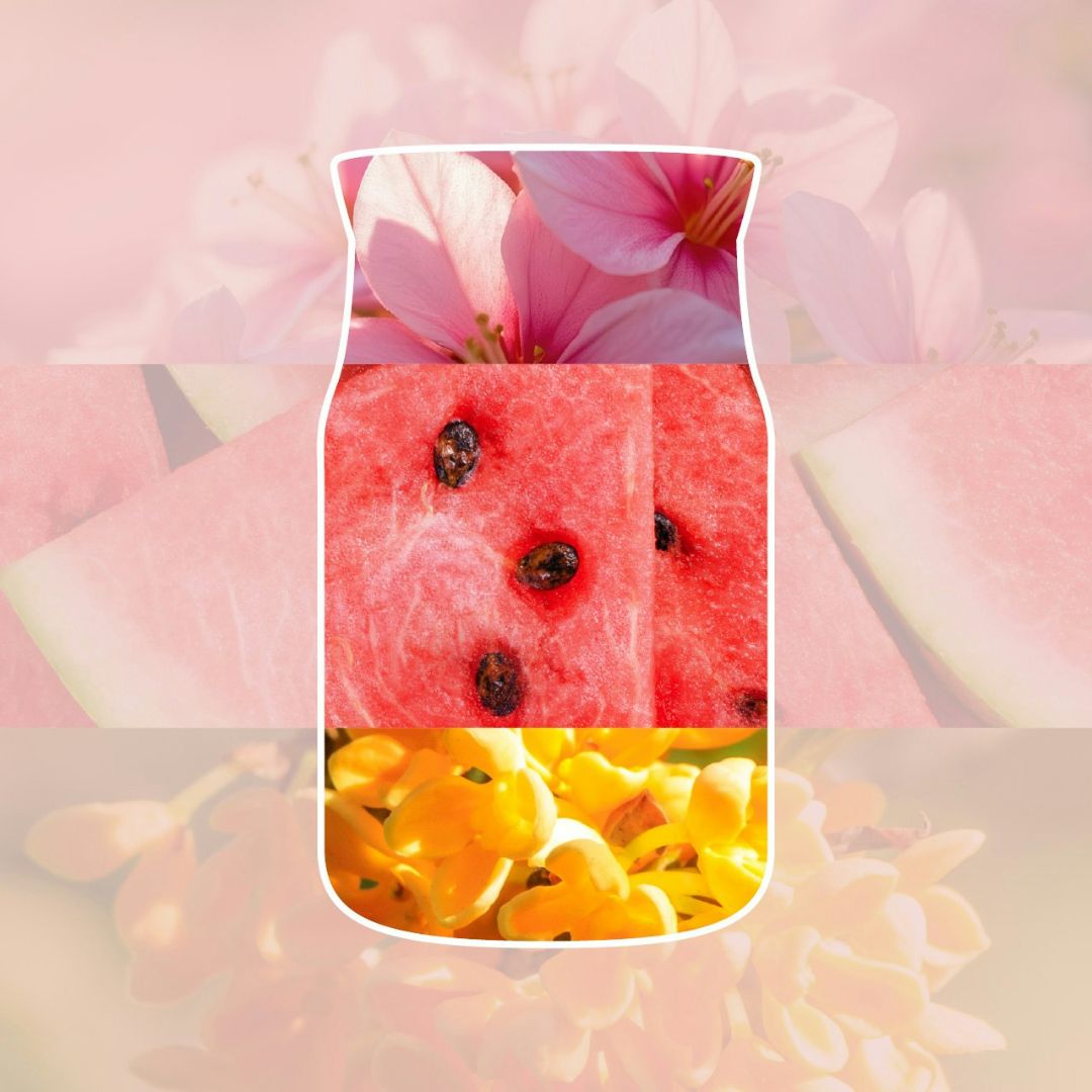 Collage con fiori rosa, anguria e fiori gialli tropicali che ricordano la profumazione della candela.