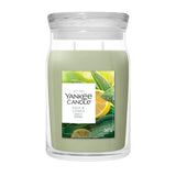 Candela Yankee Candle Sage & Citrus grande in giara di vetro.