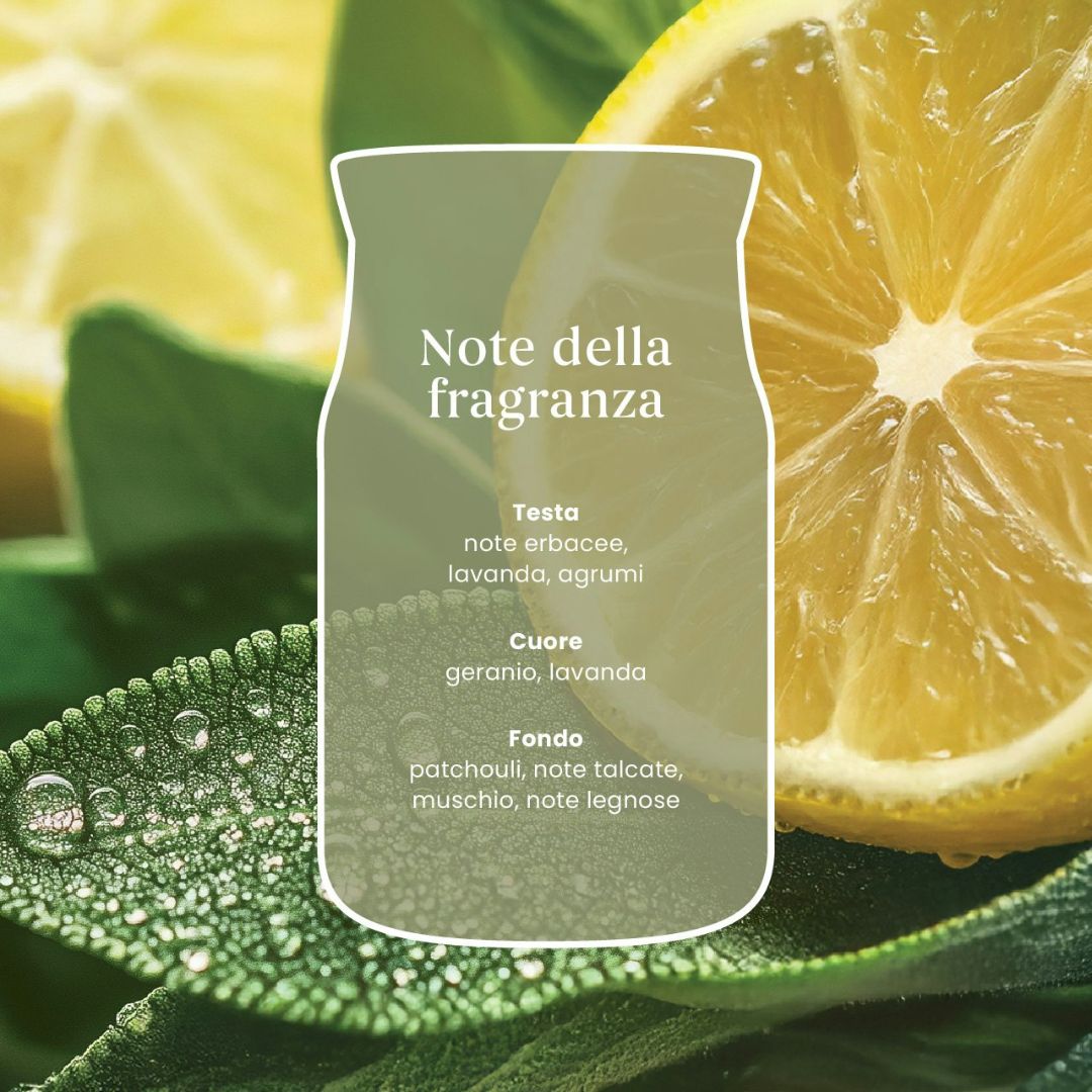 Scheda note della fragranza Sage & Citrus.