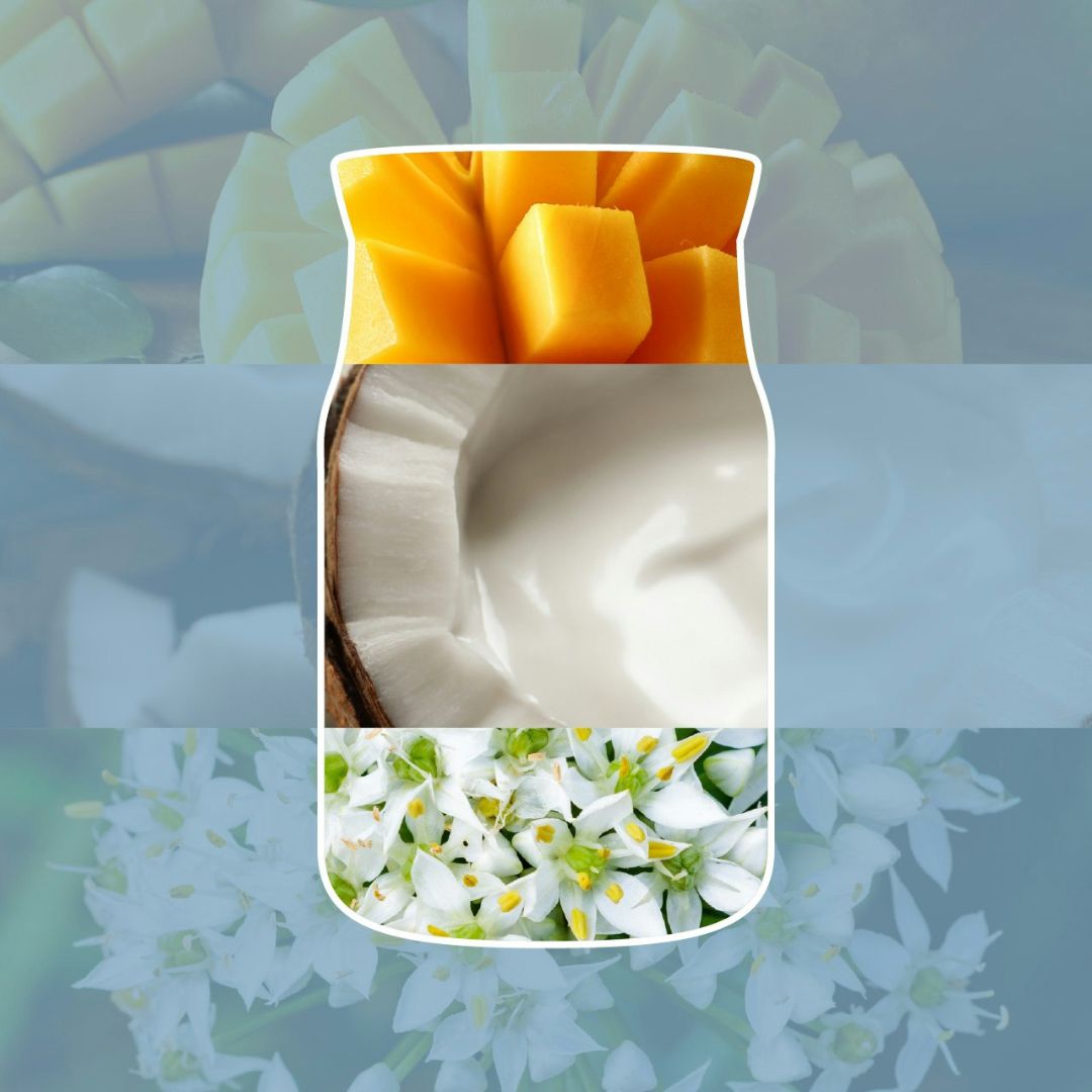 Collage con mango a cubetti, cocco cremoso e fiori bianchi tropicali che richiamano la profumazione della candela.