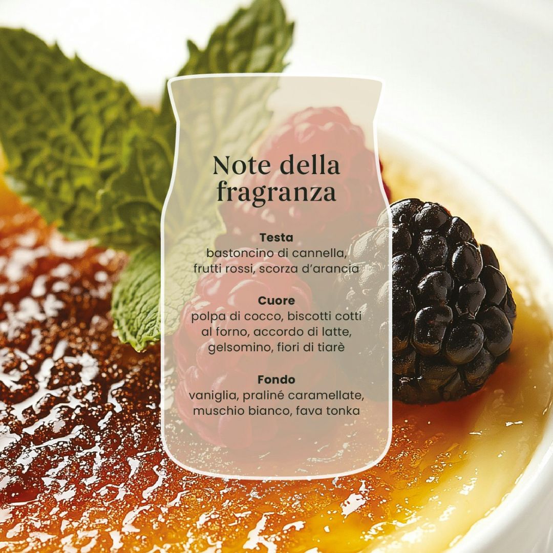 Scheda note della fragranza Vanilla Crème Brûlée.