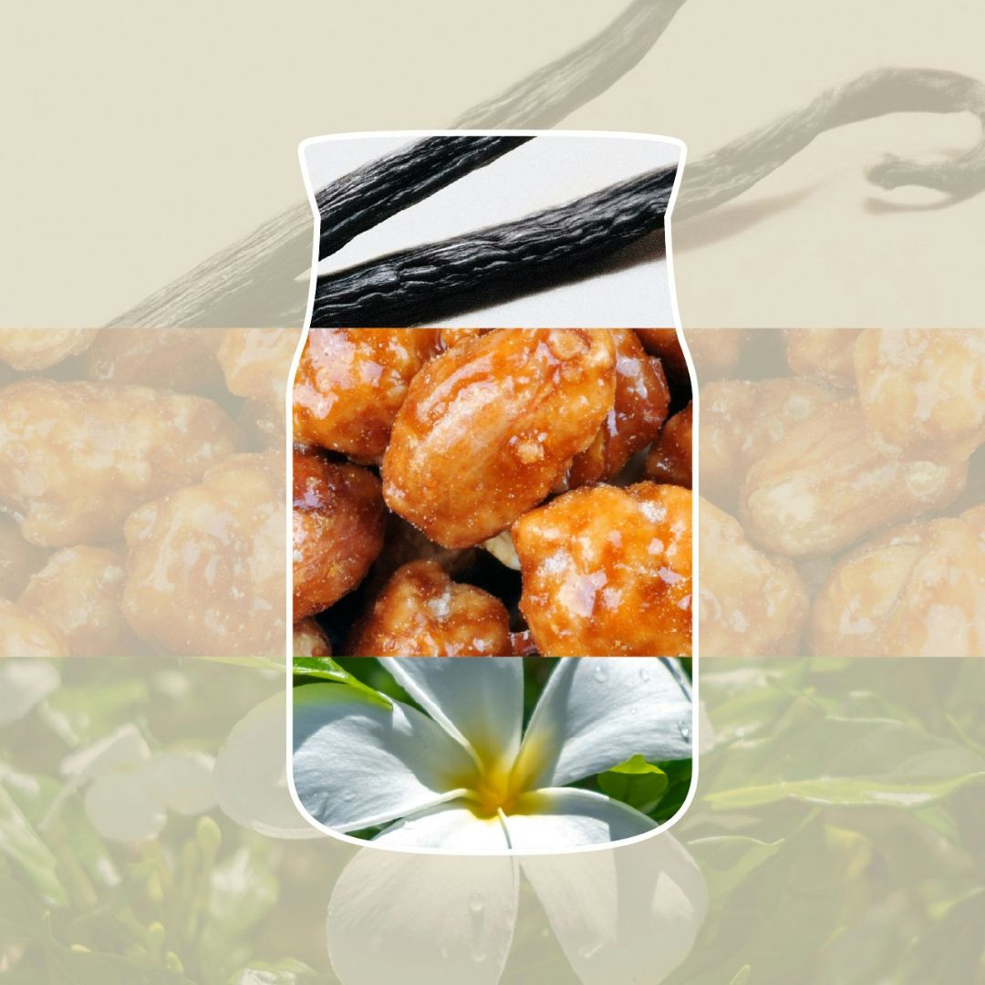 Collage con baccelli di vaniglia, mandorle caramellate e fiore bianco tropicale che richiama la profumazione della candela.