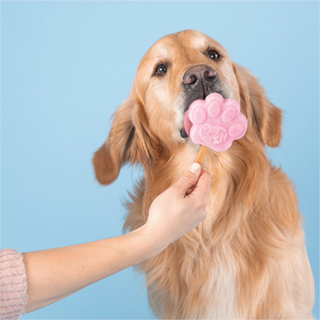 Smoofl Mix Gelato Vari Gusti - Gelato per cani