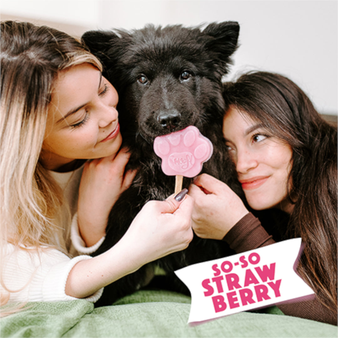 Smoofl Mix Gelato Vari Gusti - Gelato per cani